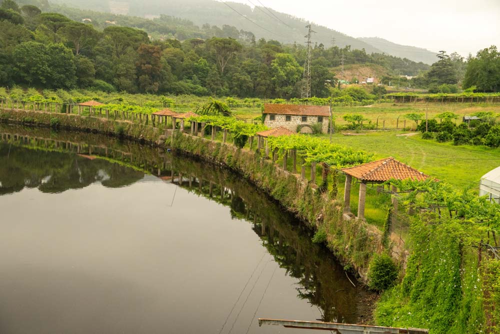 Ein Fluss schlängelt sich durch üppiges Grün in Santo Tirso, an dessen Ufer ein Steinhaus mit rotem Ziegeldach steht. Entlang eines Zauns wachsen Weinreben, und nebelverhangene bewaldete Hügel lassen den Charme der Festung São Bento 2025 im Hintergrund erahnen.